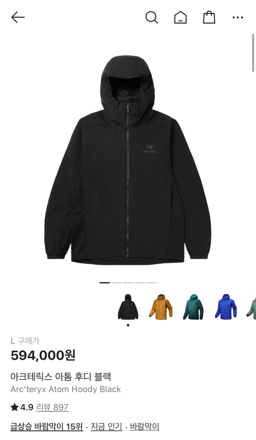 아크테릭스 아톰 후디 상품이미지1