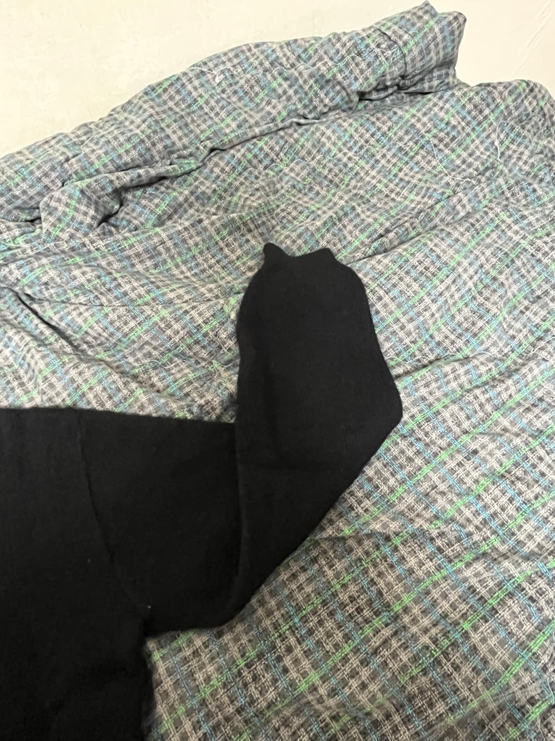 토니웩 24fw baby alpaca mohair 상품이미지5