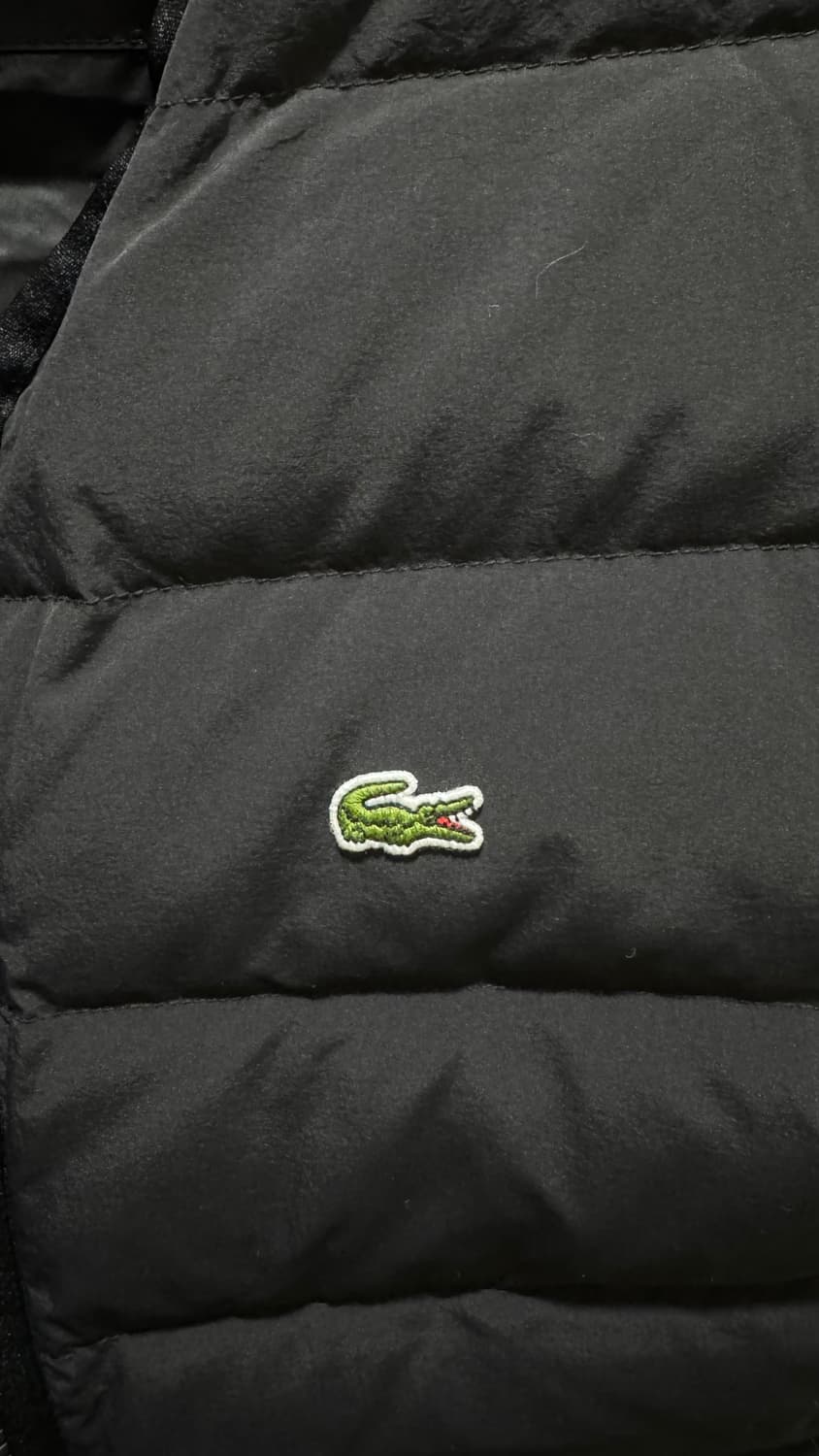 급처, 새제품) 라코스테 경량 패딩 상품이미지3