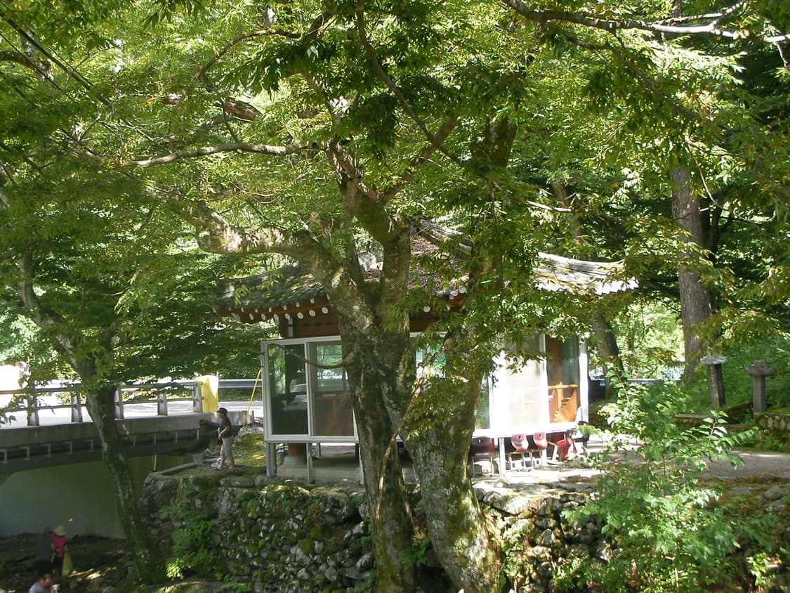 산요 작티 ca65 캠코더 상품이미지3