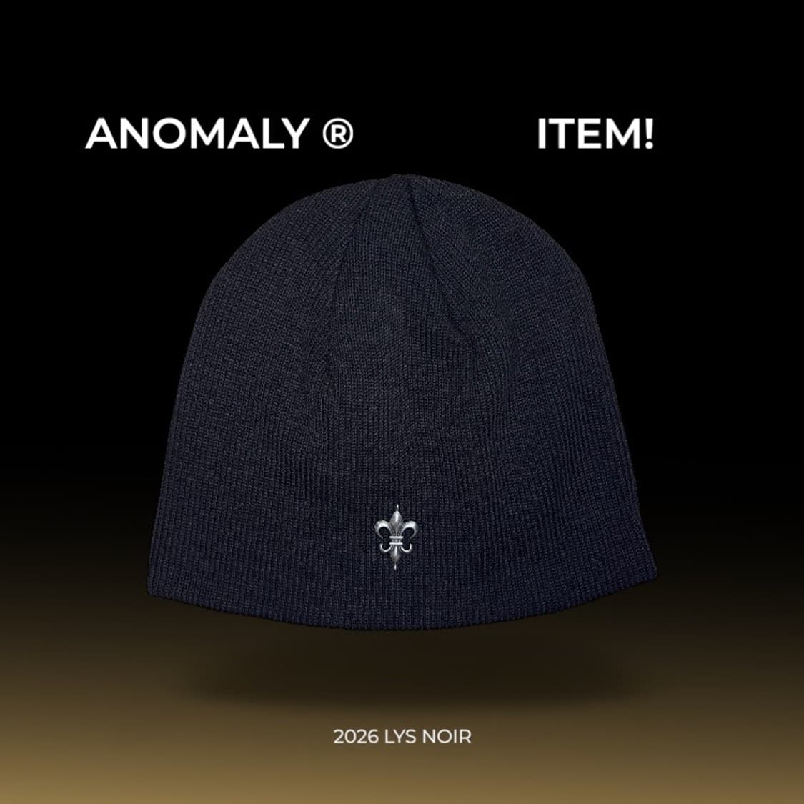 LSY NOIR 2026 ® 비니 상품이미지1