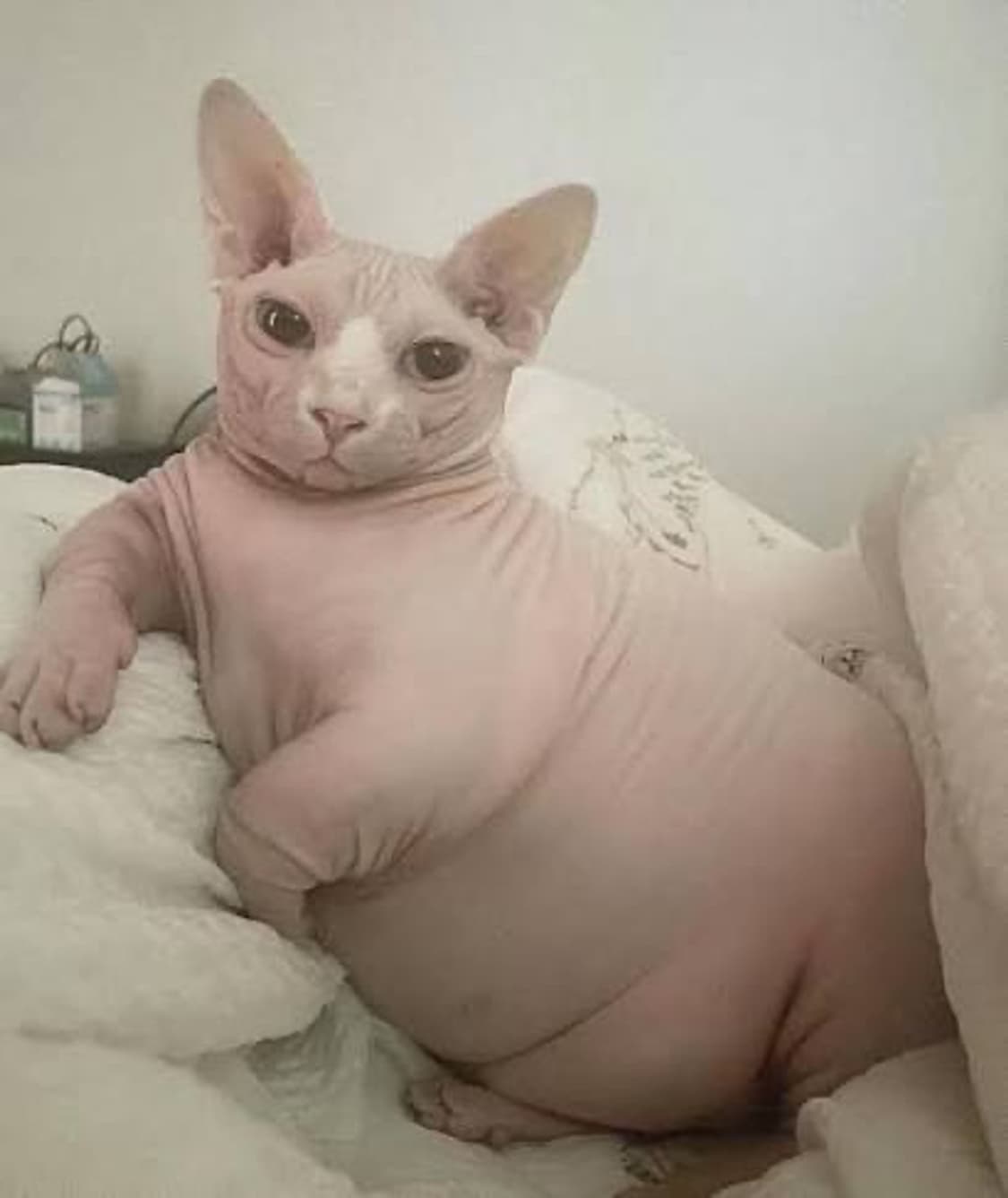 개인판매창 상품이미지1