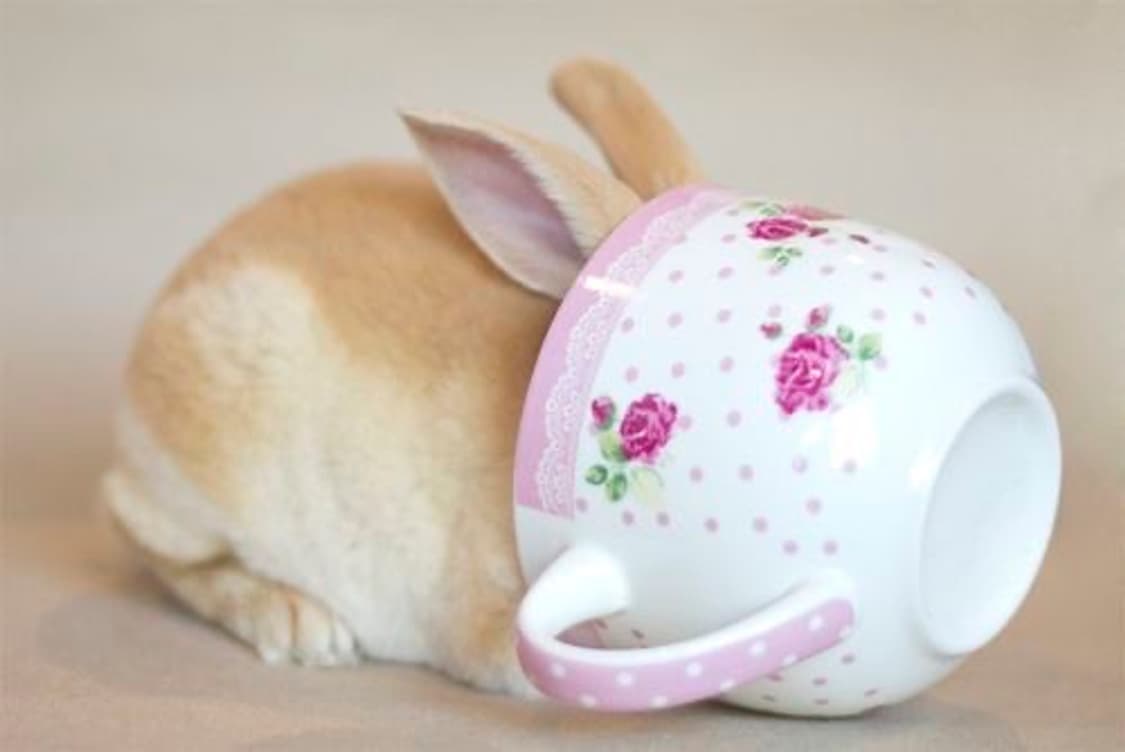 2+1 event ! 상품이미지1