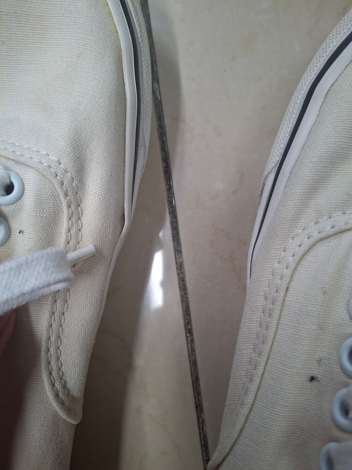 반스 어센틱 애너하임 44dx 270 상품이미지4