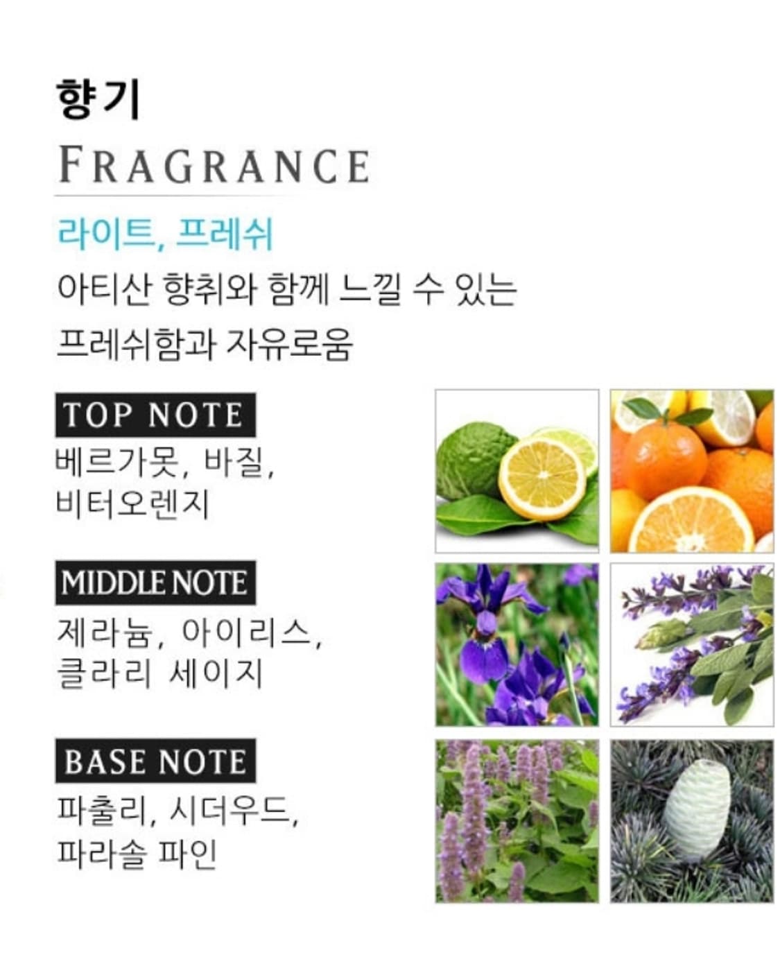 존바바토스 아티산 블루 EDT 125ml 상품이미지4