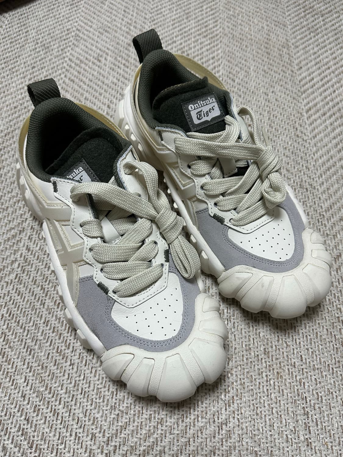 덴티그레 LS 1183B421_101 상품이미지4