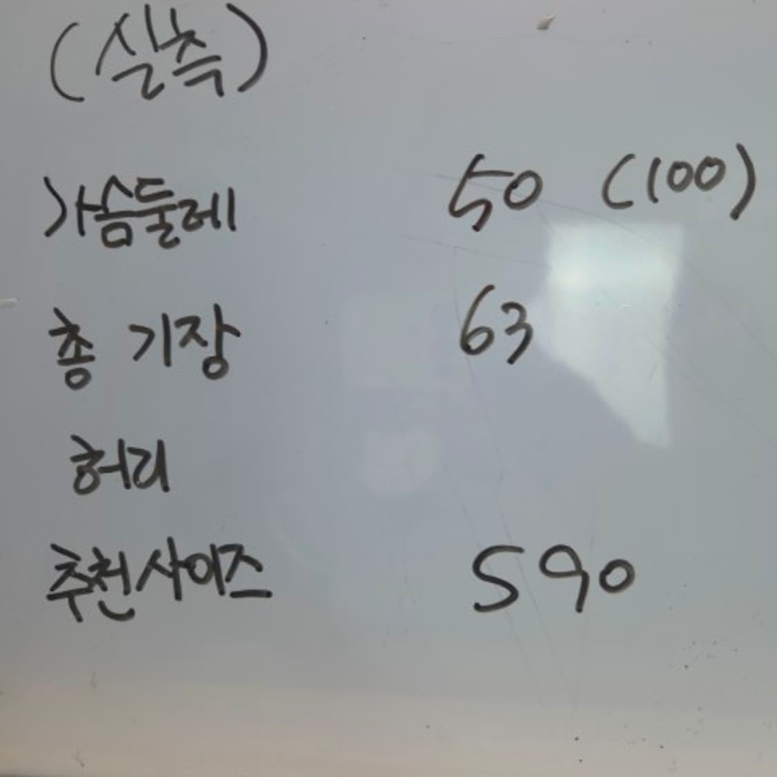 남55 여55-66 노스페이스 오리털 패딩 상품이미지7