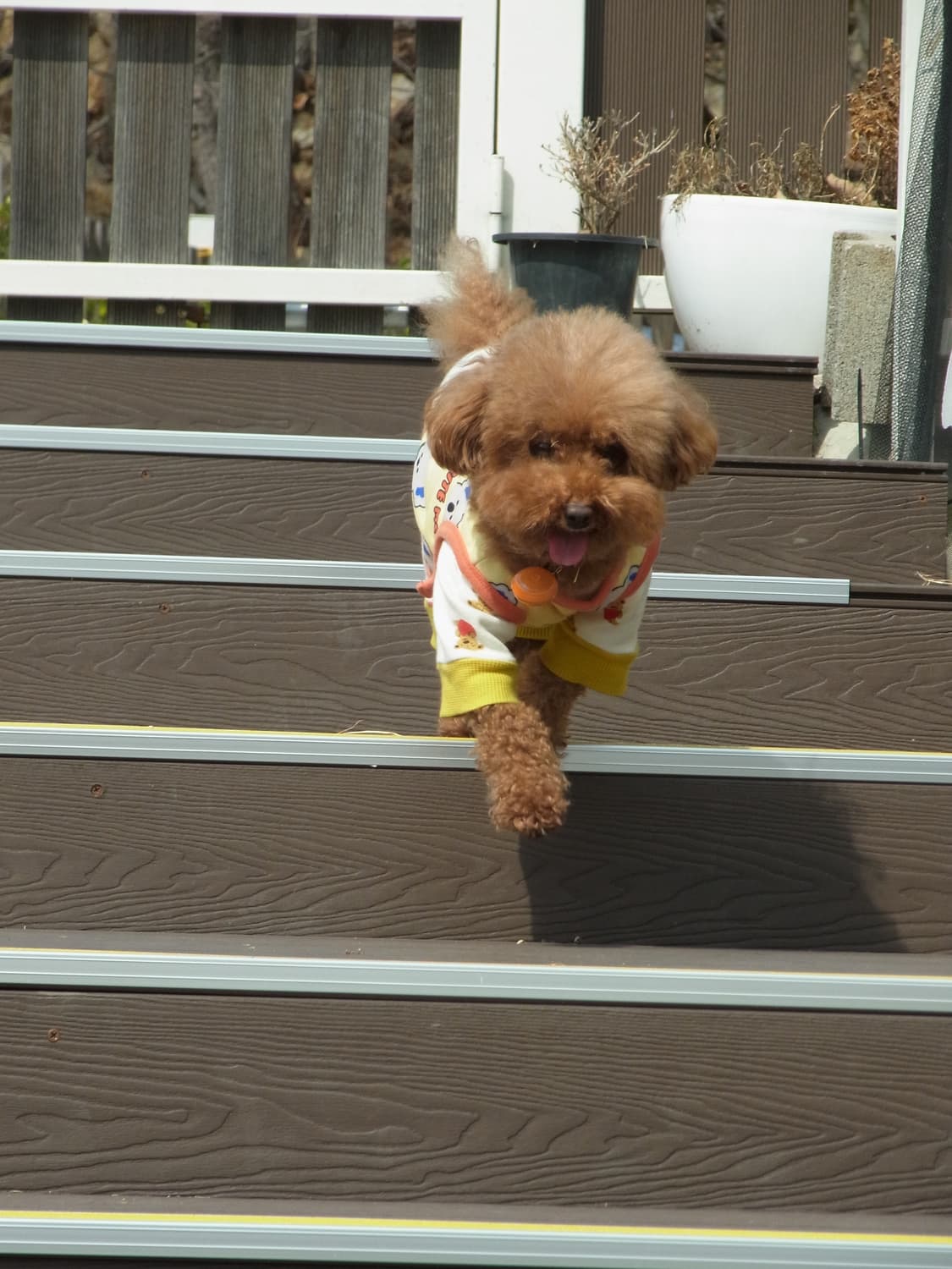 ricoh cx5 작례O 상품이미지7