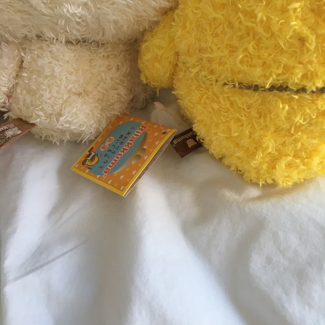 리락쿠마 코리락쿠마 키이 뽀글이 세트 상품이미지4