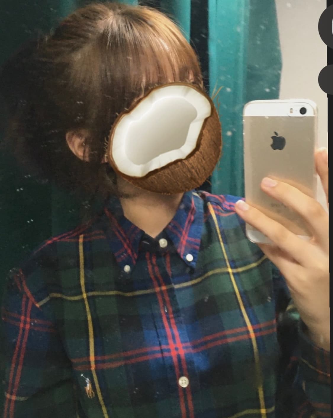 폴로 체크 셔츠 (업로드중) 상품이미지1