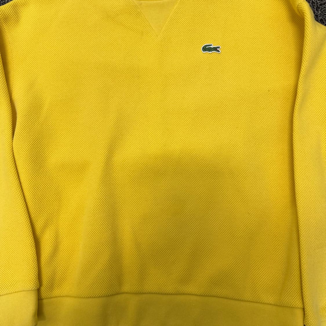 라코스테 여성 니트 맨투맨 옐로우 95사이즈 상품이미지2