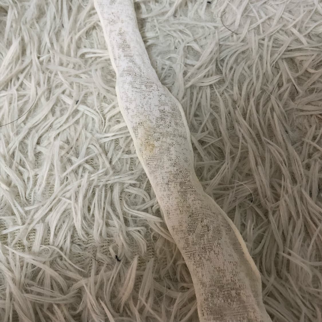 expined girl 익스파이어드 걸 April Top WHITE 상품이미지8