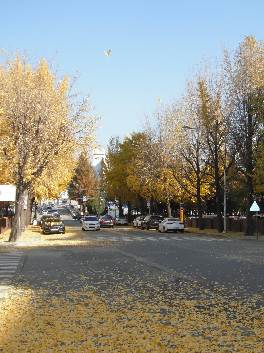 (희귀 브라운, 작례o) Fujifilm 후지필름 파인픽스 Z80 상품이미지3