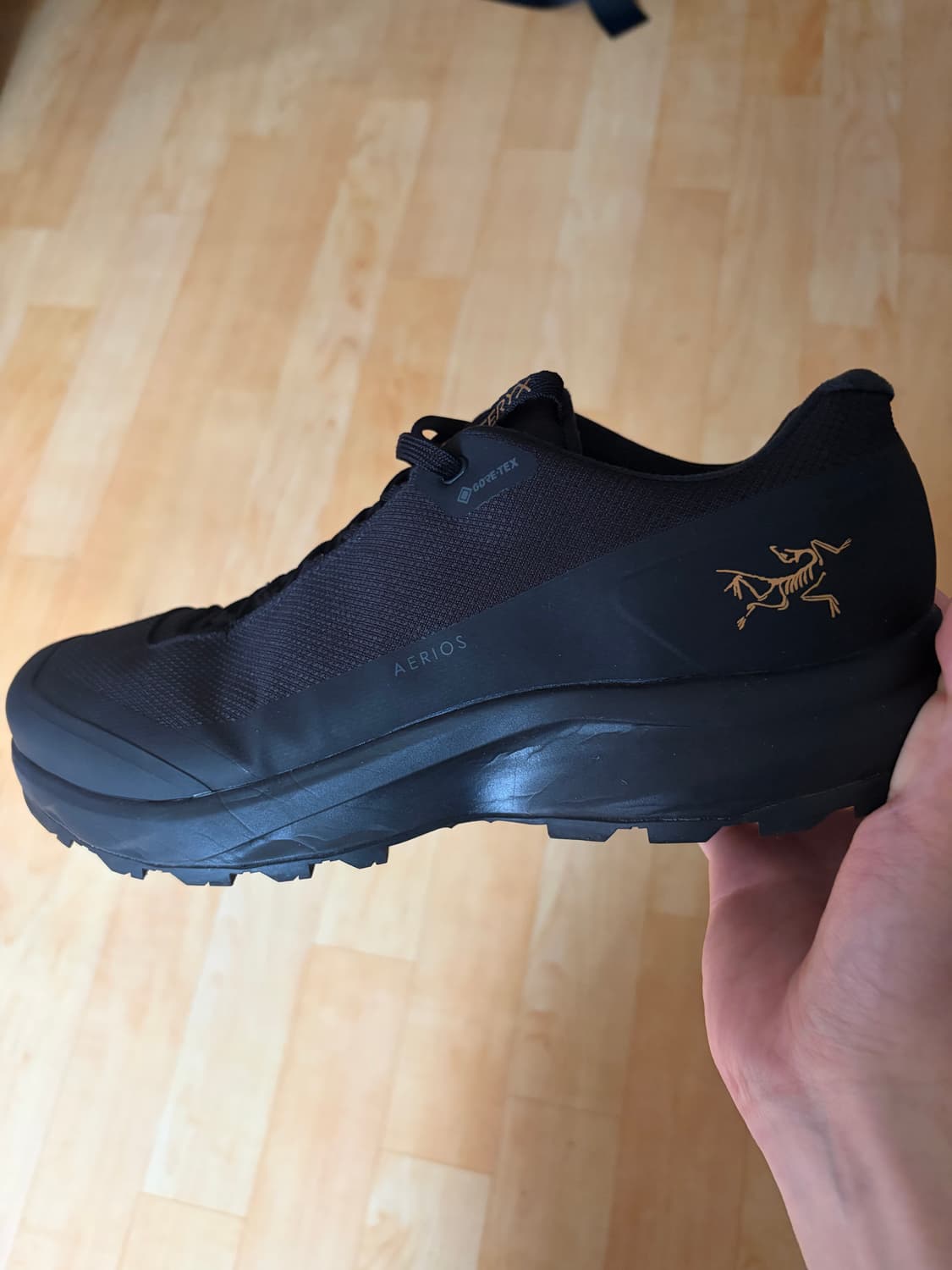 Arc'teryx Aerios FL2 GTX 275 상품이미지2