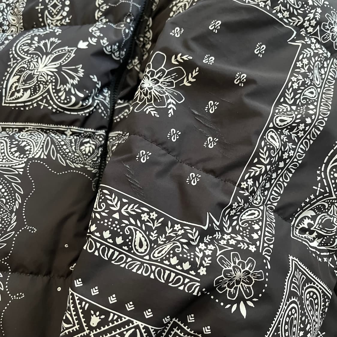 노스페이스 로프티 페이즐리 다운 패딩 자켓 The North Face 상품이미지4