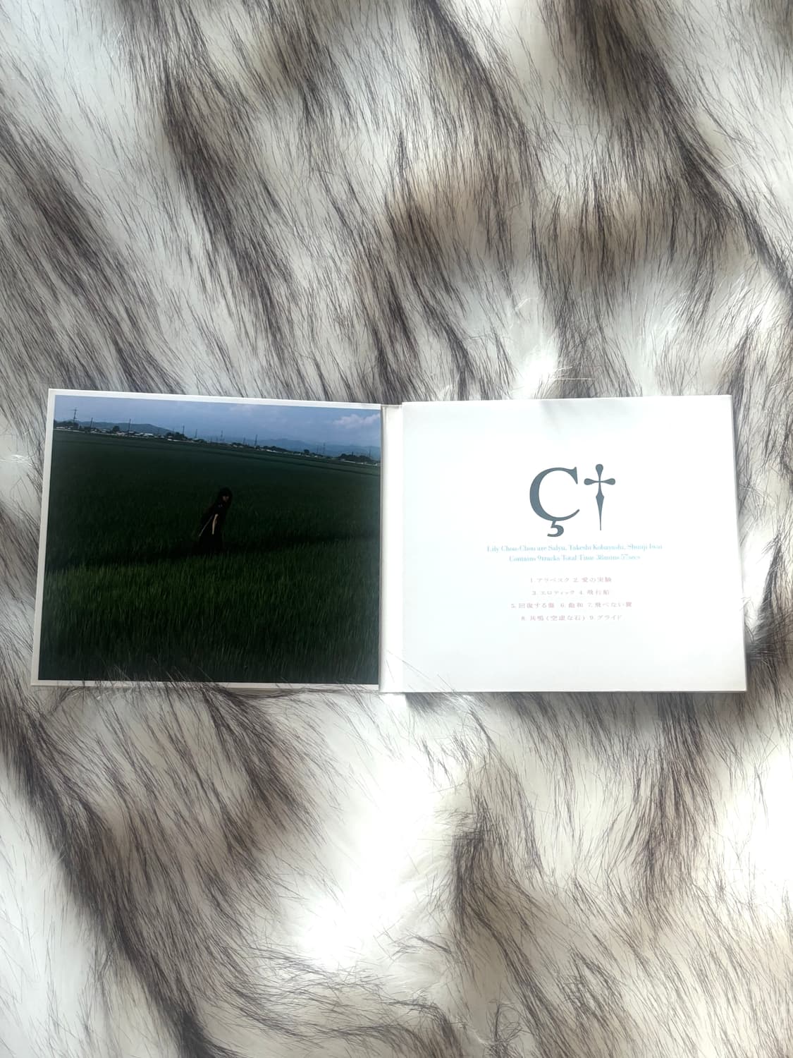 릴리슈슈의 모든것 2008 리마스터링 디지팩 CD 한정반 상품이미지2