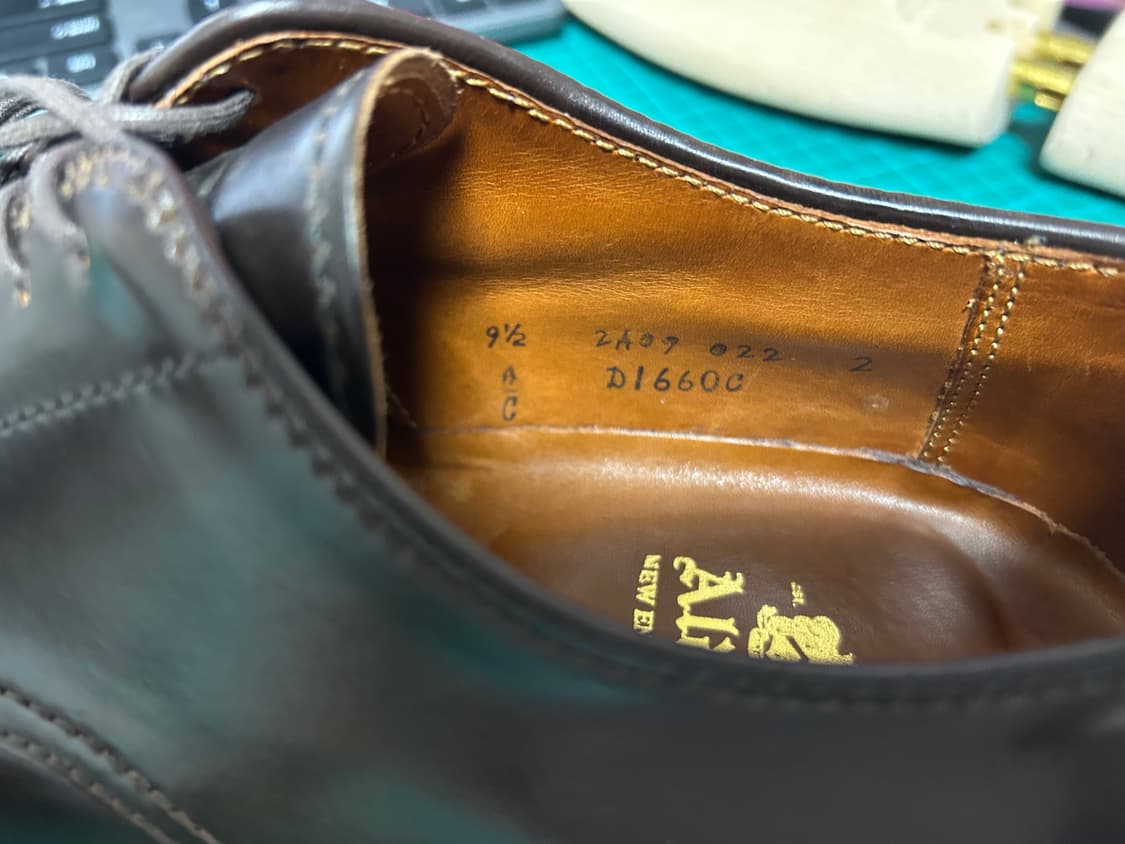 알든 시가쉘 V-Tip 블러처 상품이미지6