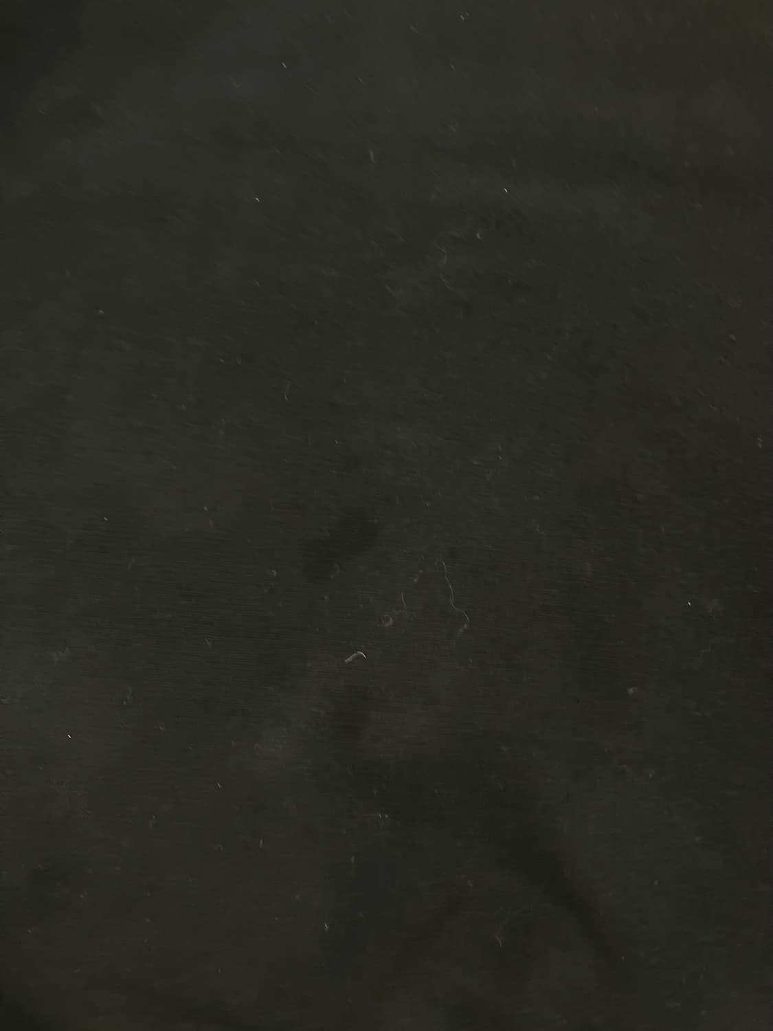 15FW 스톤아일랜드 와펜 스웻셔츠 블랙 상품이미지6