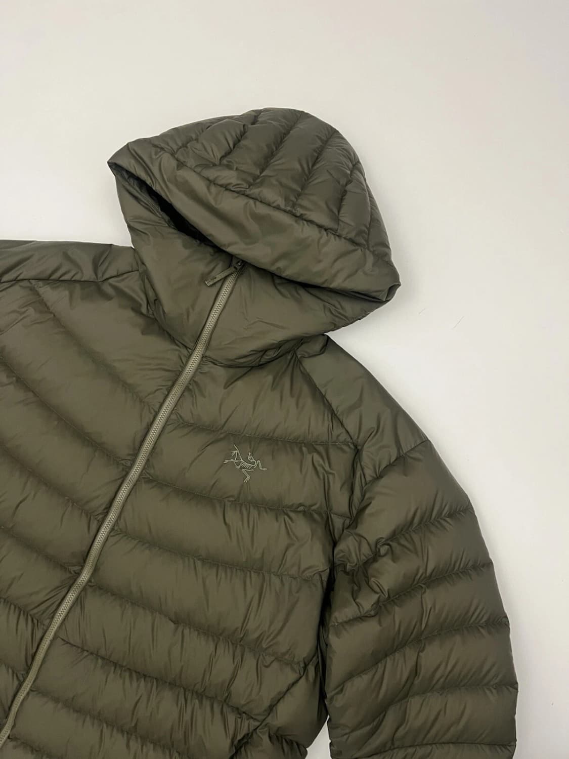 L 아크테릭스 아그리움 후디  타츠 상품이미지2