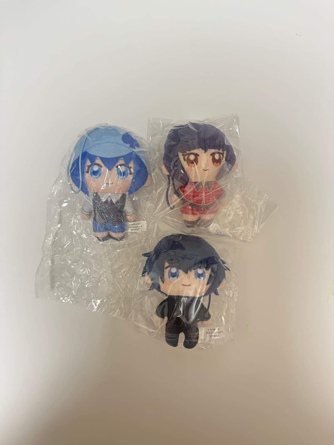 캐릭캐릭체인지 캐캐체 가챠 카푸코 누이 인형 상품이미지1