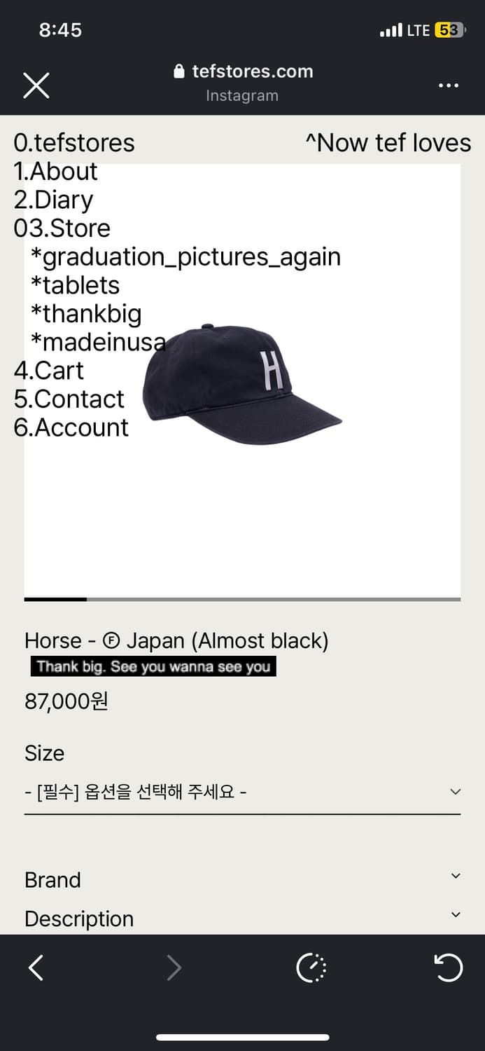 테프스토어즈 L 상품이미지1