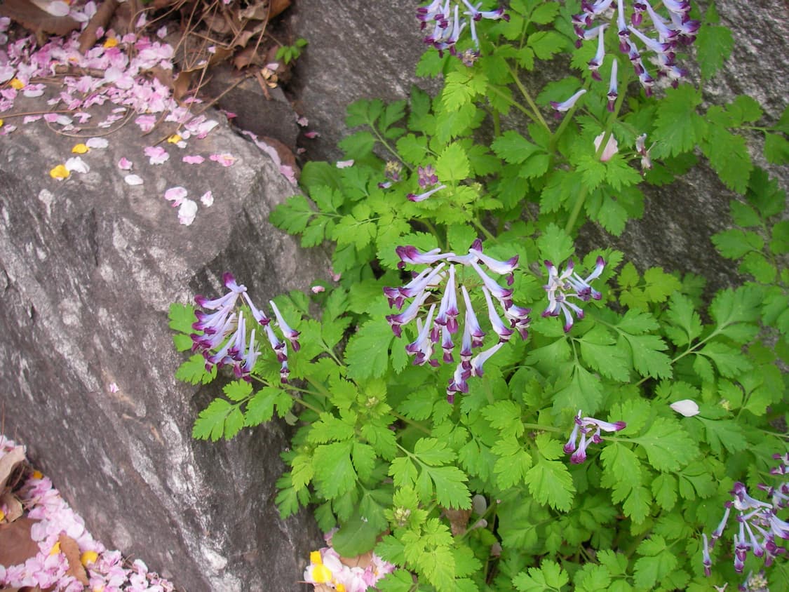 산요작티 디카 e6 상품이미지5