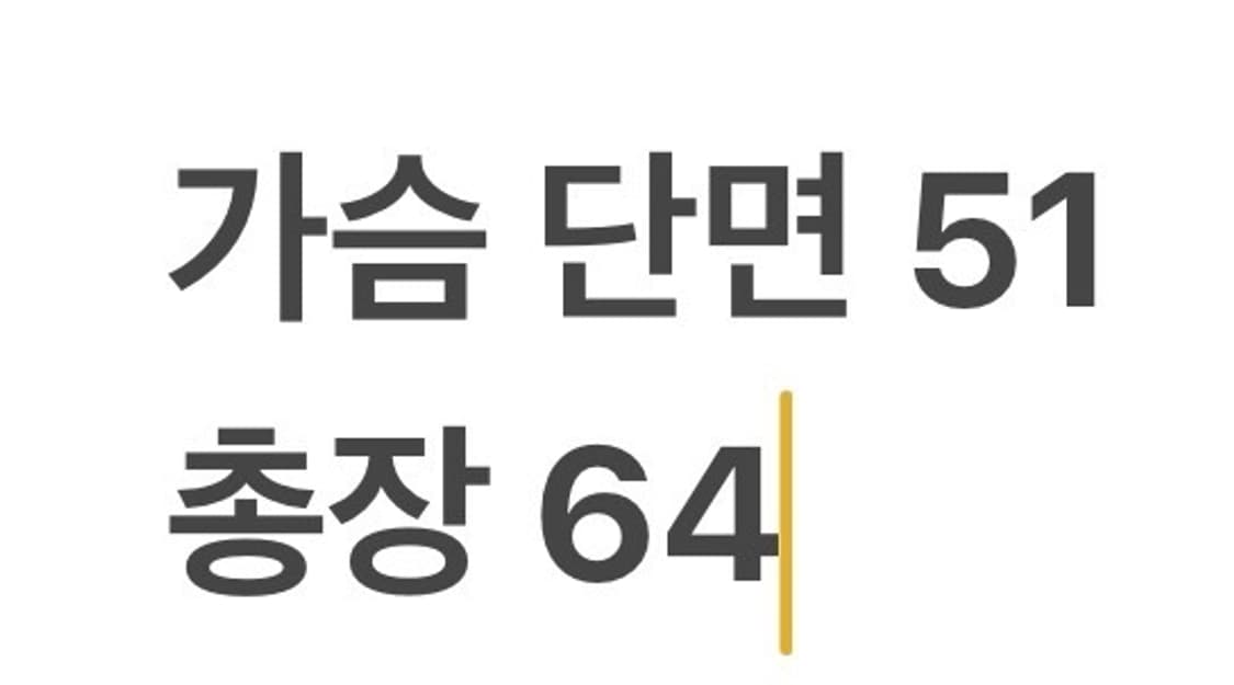 [정품/L] 다이나핏 블랙 경량 패딩 점퍼 b19 상품이미지9