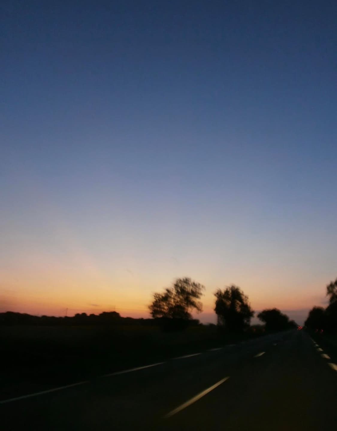 올림푸스 vg110 디지털카메라 상품이미지10