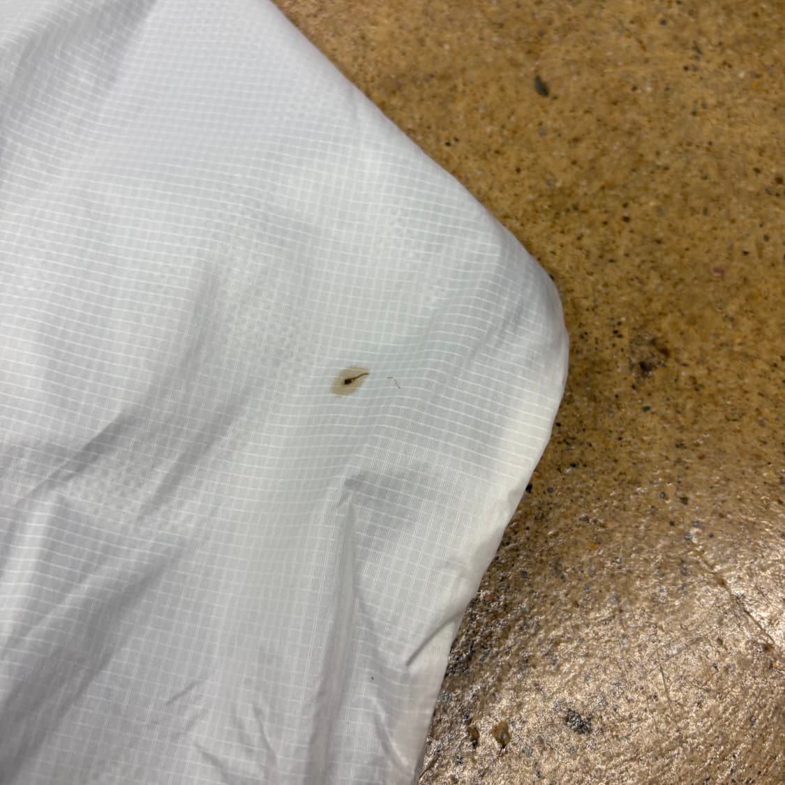 [정품/100] 아디다스 독일 국대 바람막이 자켓 b8 상품이미지4