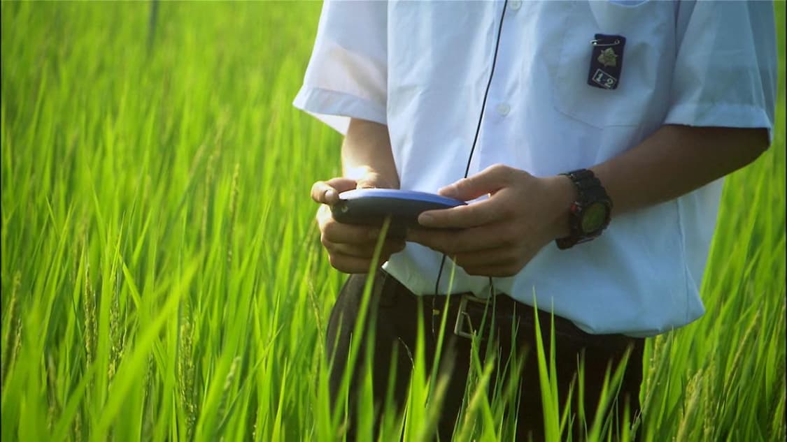 ✝️ 릴리슈슈 목걸이 lily chou chou necklace 상품이미지5