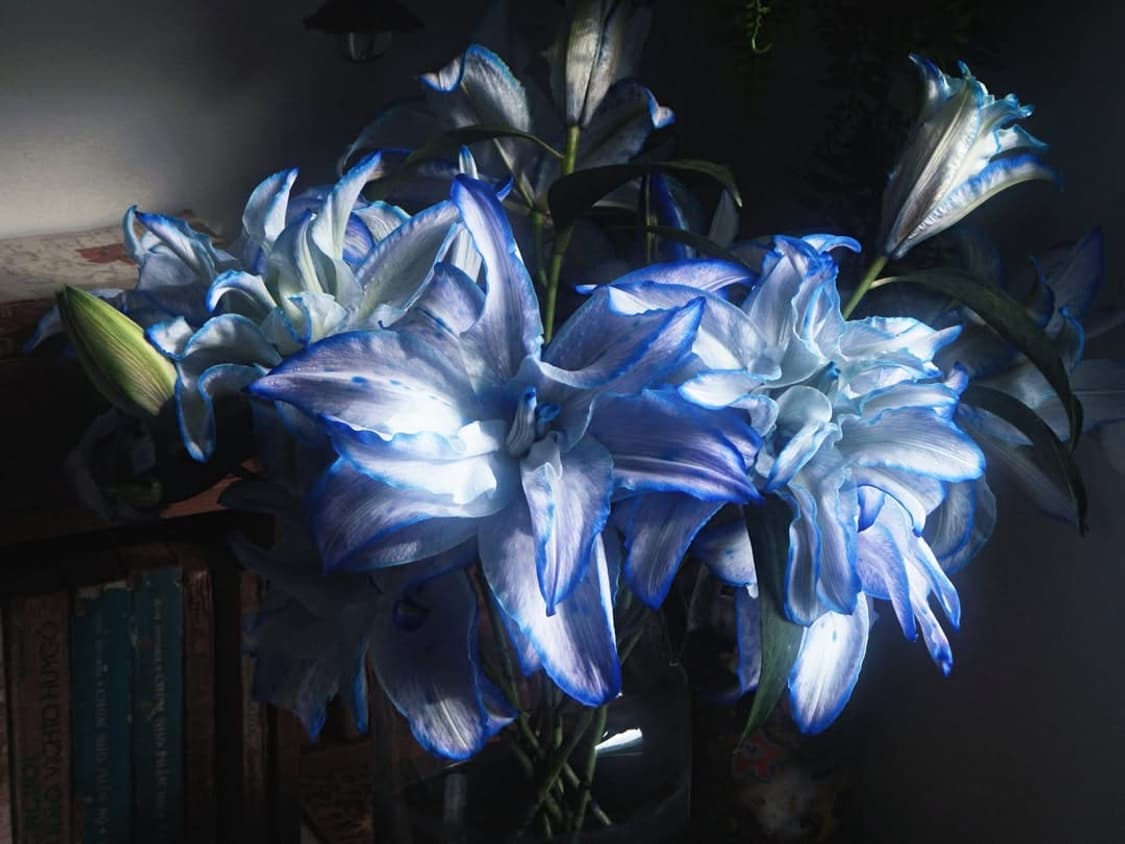 니콘 쿨픽스 AW110 | Nikon Coolpix 100 120 130 상품이미지4