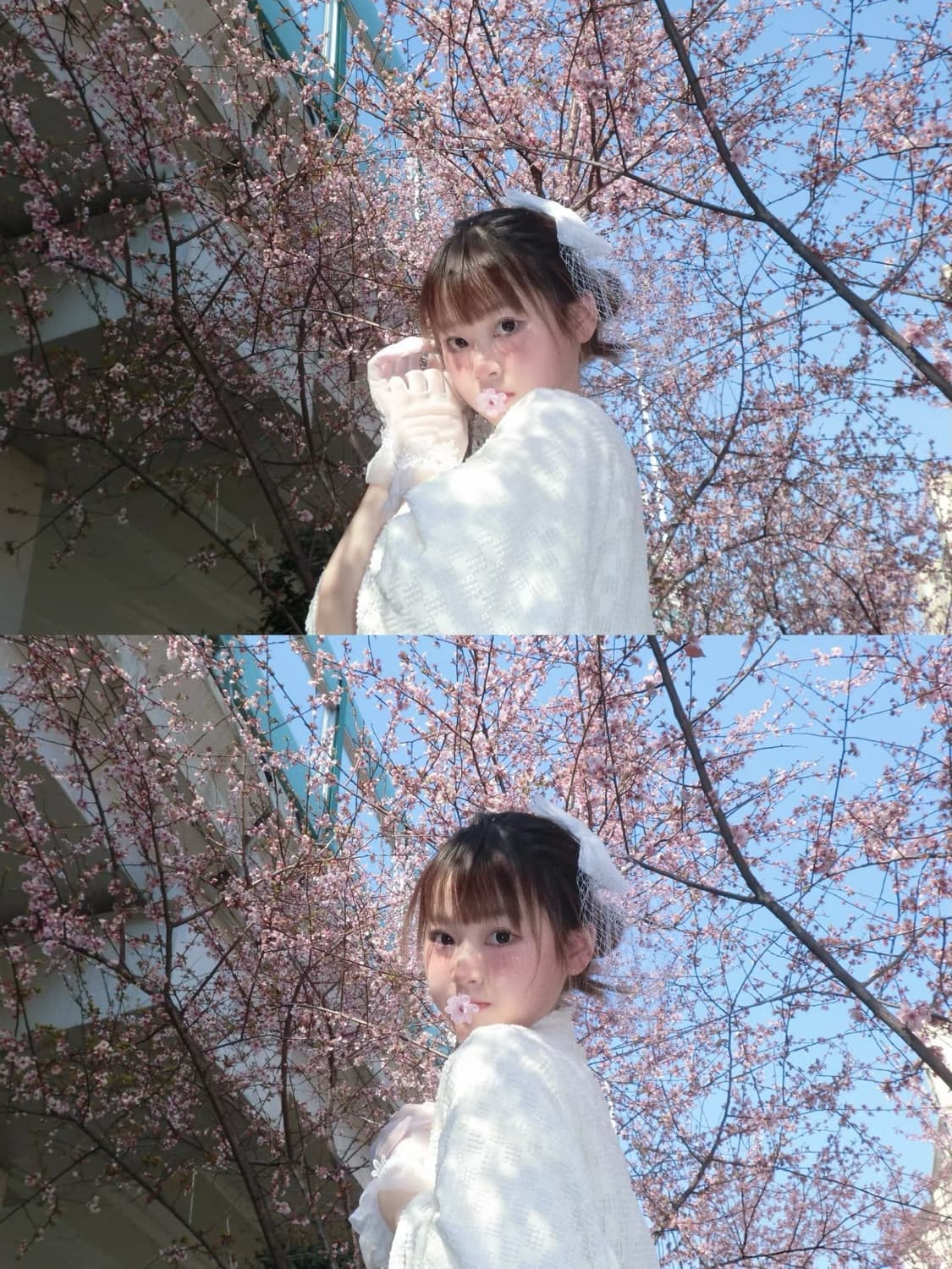 [*희귀⚡️/작례O] 카시오 엑슬림 EX-Z800 디지털 카메라 디카 상품이미지5