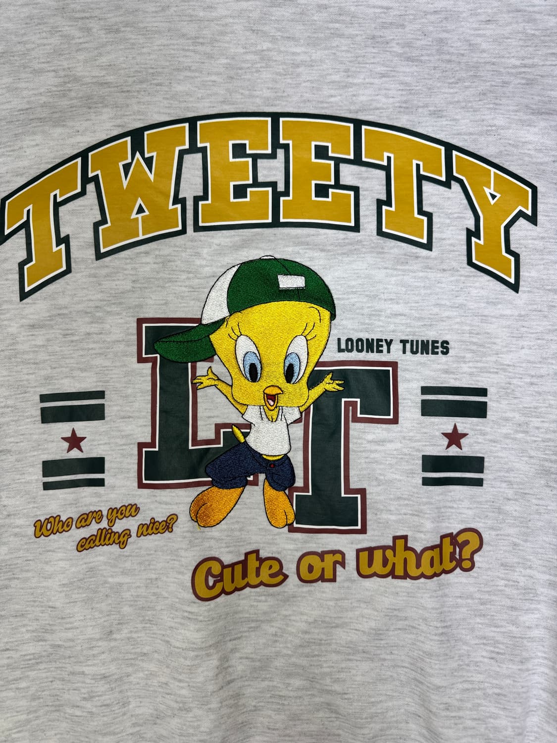루니툰 트위티 Tweety 자수 디테일 그래픽 맨투맨 L 상품이미지3
