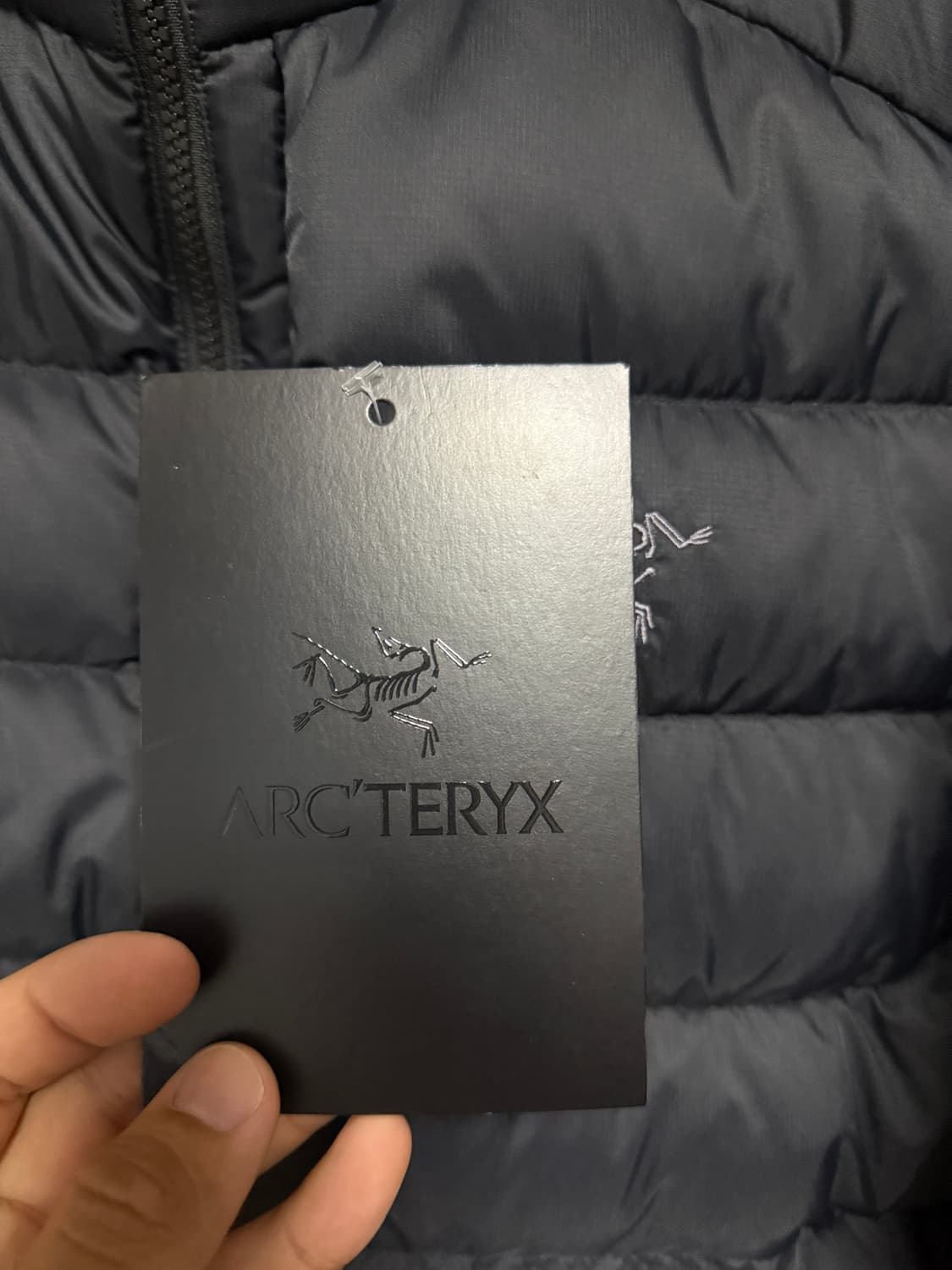 아크테릭스 토륨 논후드 m 상품이미지5