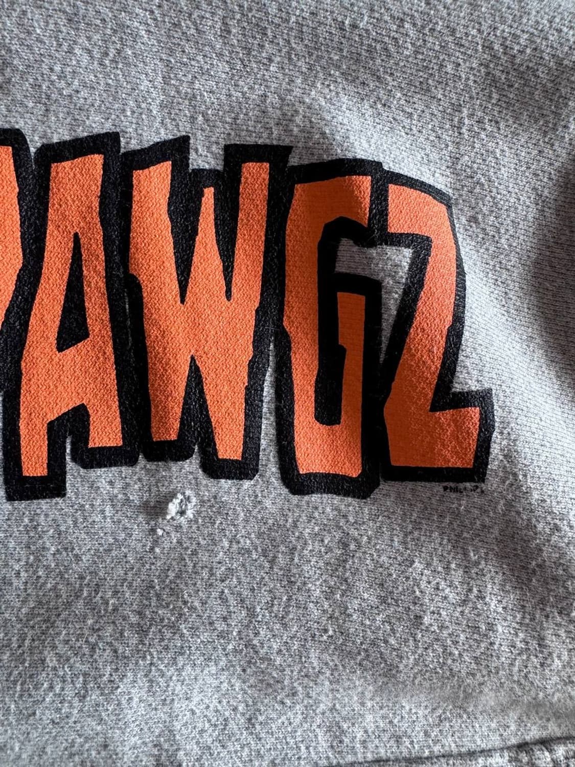 Early 00s Champion RW Heshdantz hoodie 상품이미지5