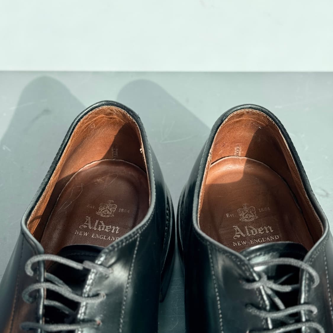 [11.5D] 알든 4315CY 블랙 코도반 플레인 토 더비 (9901) 상품이미지9