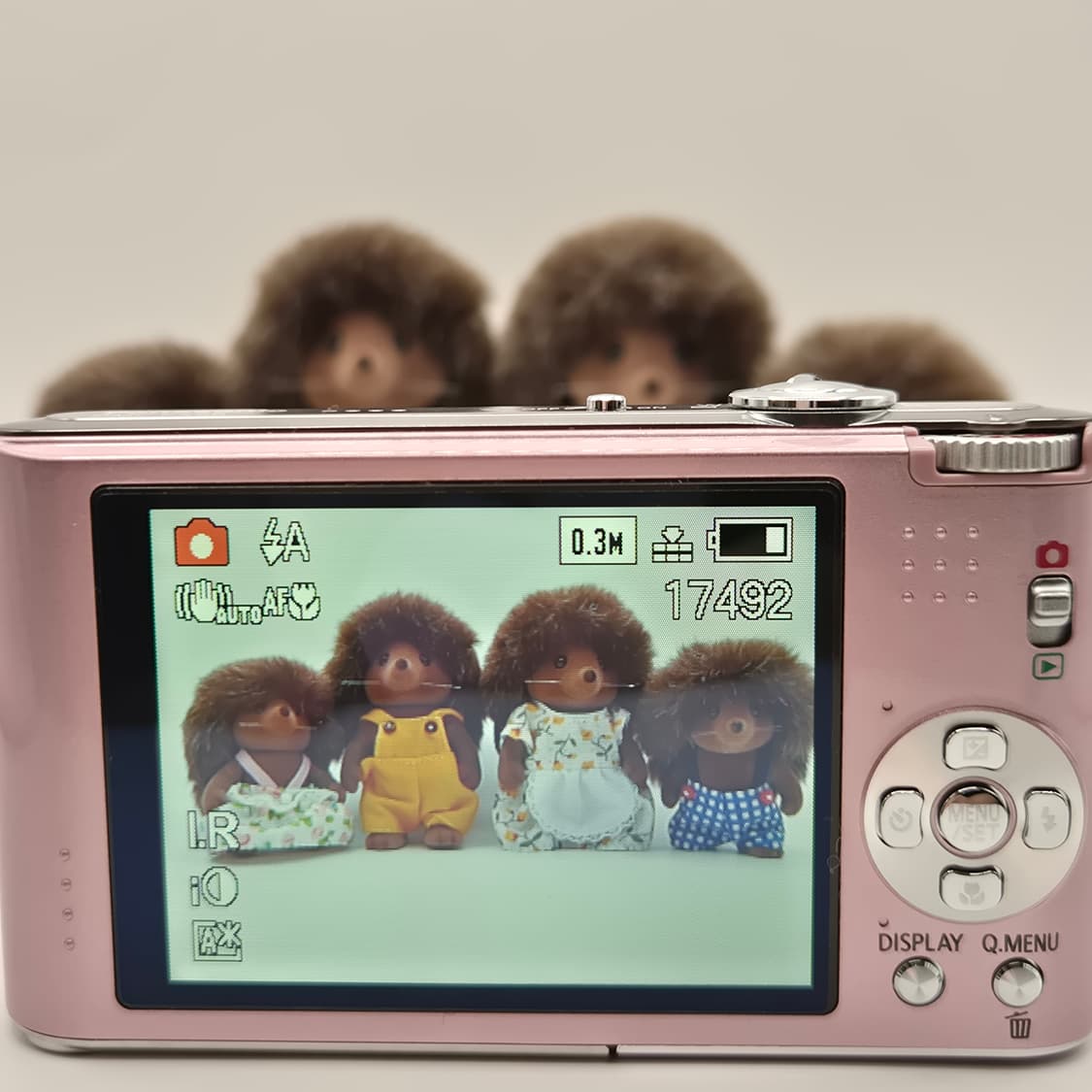 민트급박스풀셋🍑 파나소닉 루믹스 FX66 딸기우유빛 ✨ 상품이미지3