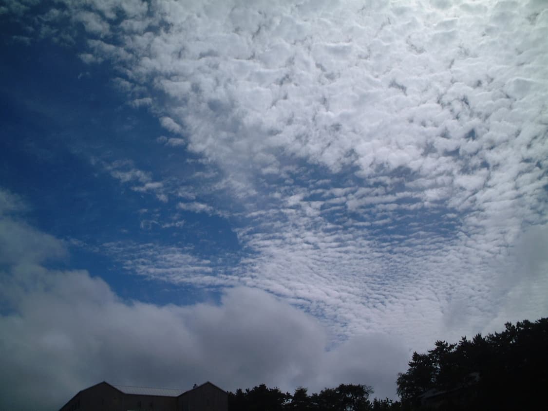 후지필름 파인픽스 50i 판매합니다(작례 참고) 상품이미지6