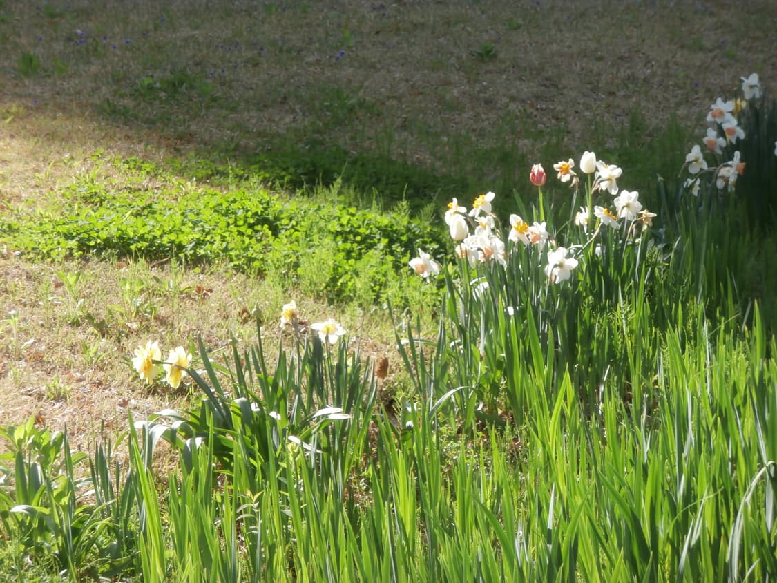 Olympus VR-360 | 올림푸스 빈티지 핑크 디카 상품이미지6