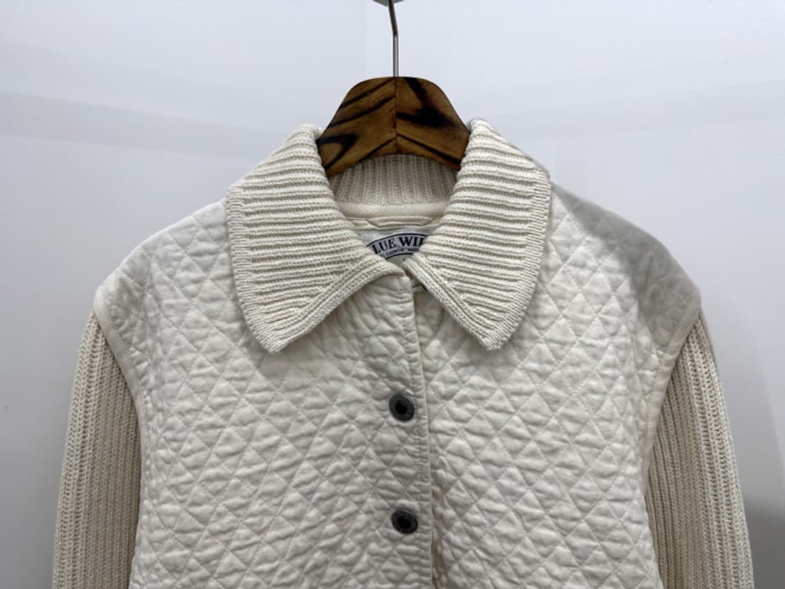 BLUE WILLI'S (XL) 상품이미지2