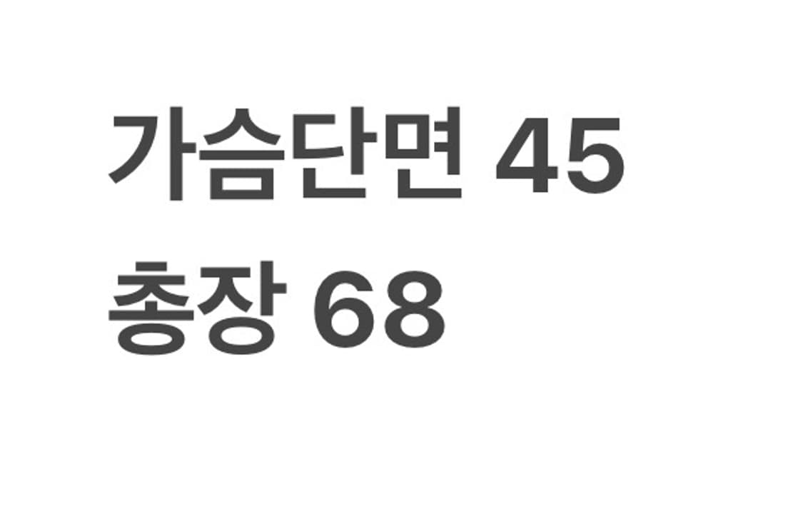 폴로랄프로렌 그레이 카라티 상품이미지4