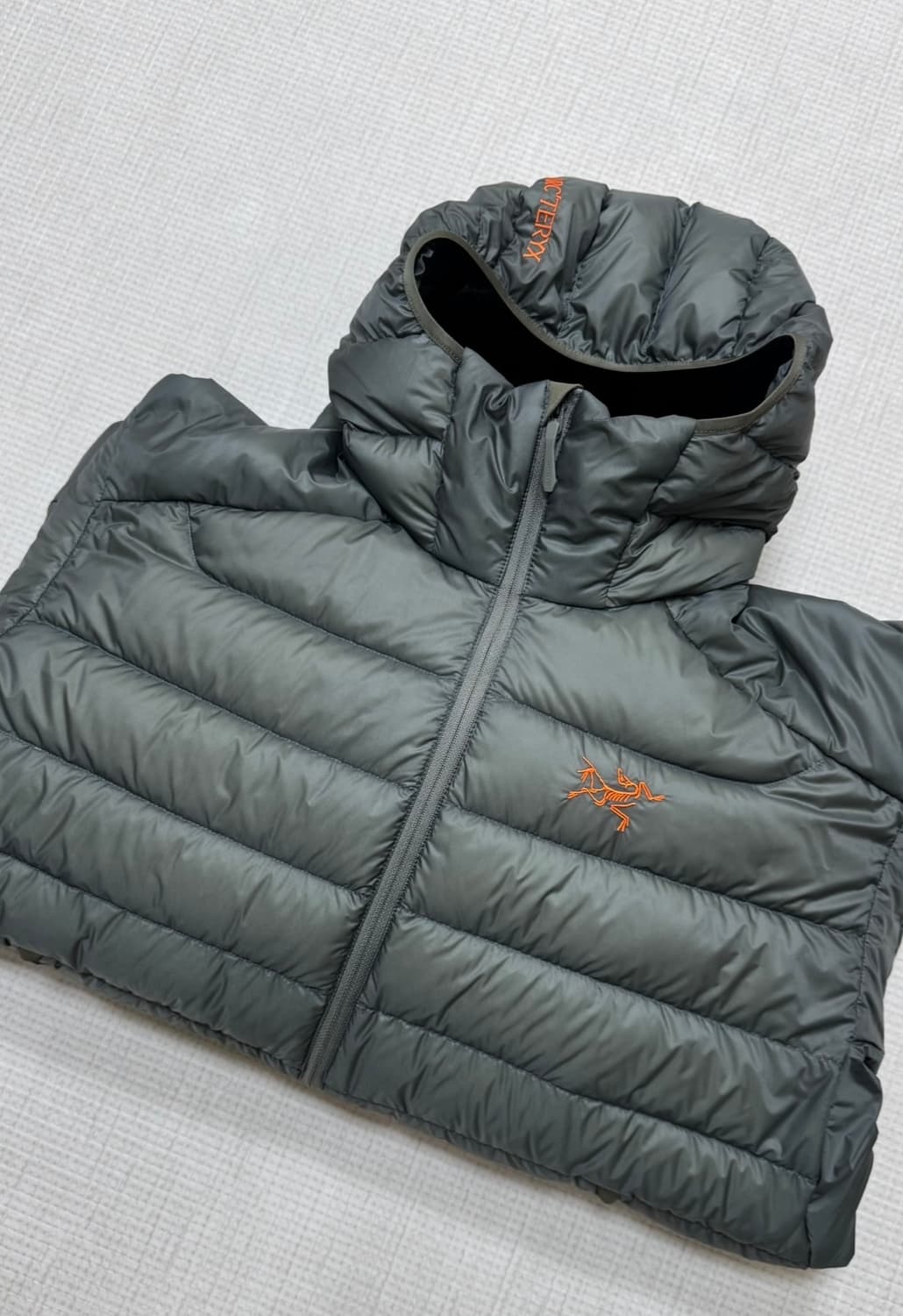 아크테릭스 세륨 후디 포리지 베르베 상품이미지1