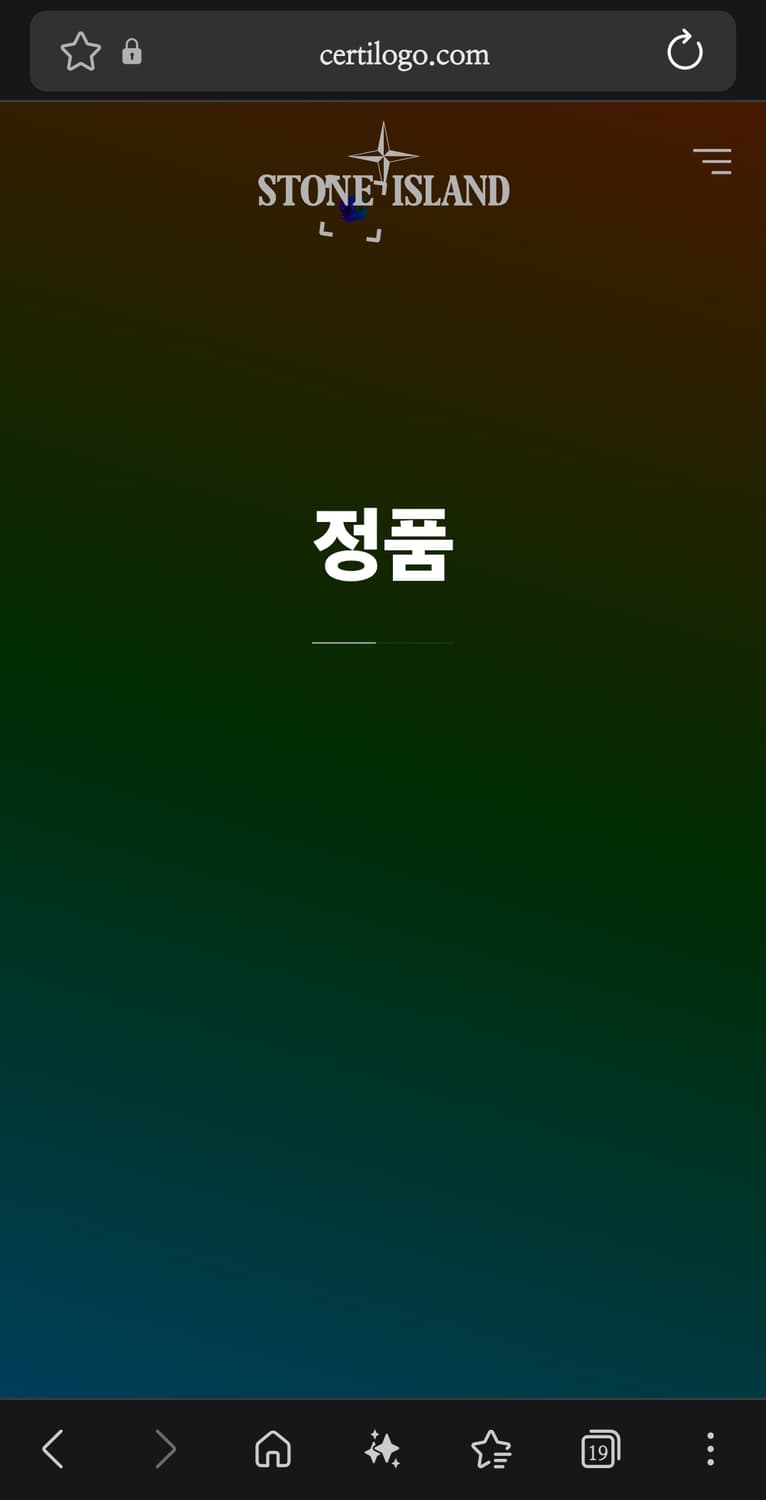 100 ) 정품 스톤아일랜드 자수 반팔티 상품이미지1