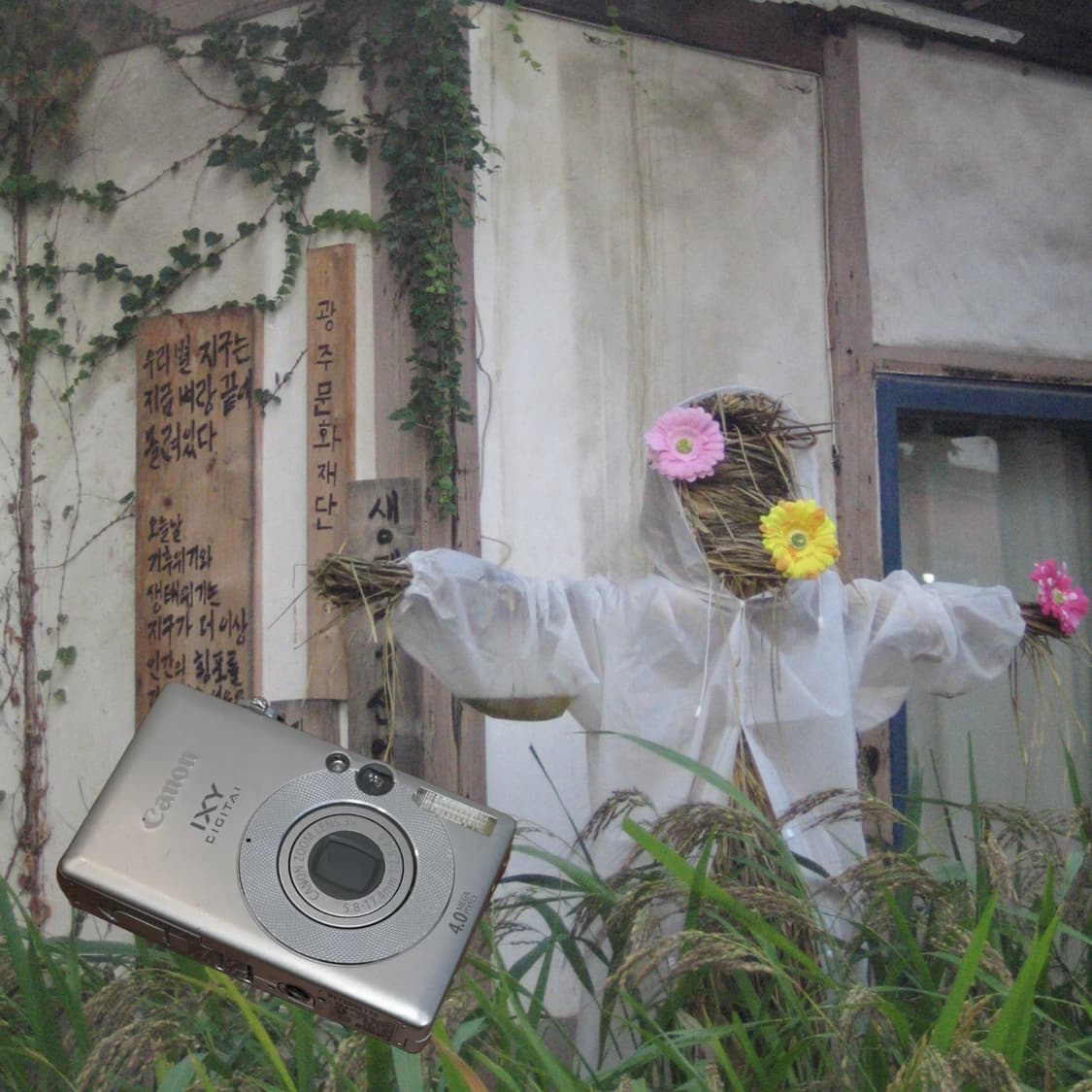 Canon IXY digital 50(✨A급 /🎁풀패키지) 상품이미지4