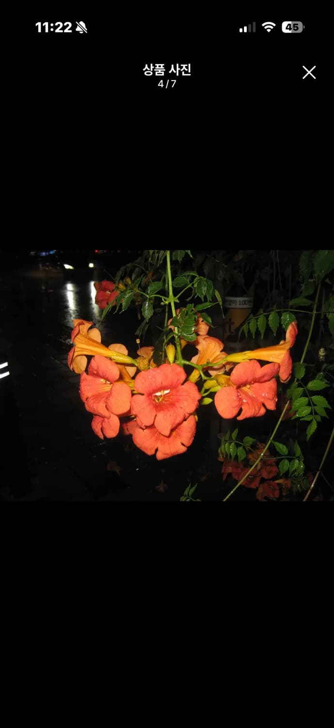 소니 사이버샷 소니 dsc-hx5v 하이엔드 디카 (작례O 상품이미지3