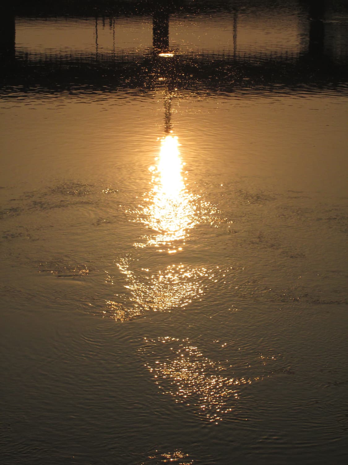 캐논 파워샷 a3500 is 실버 카메라 상품이미지4