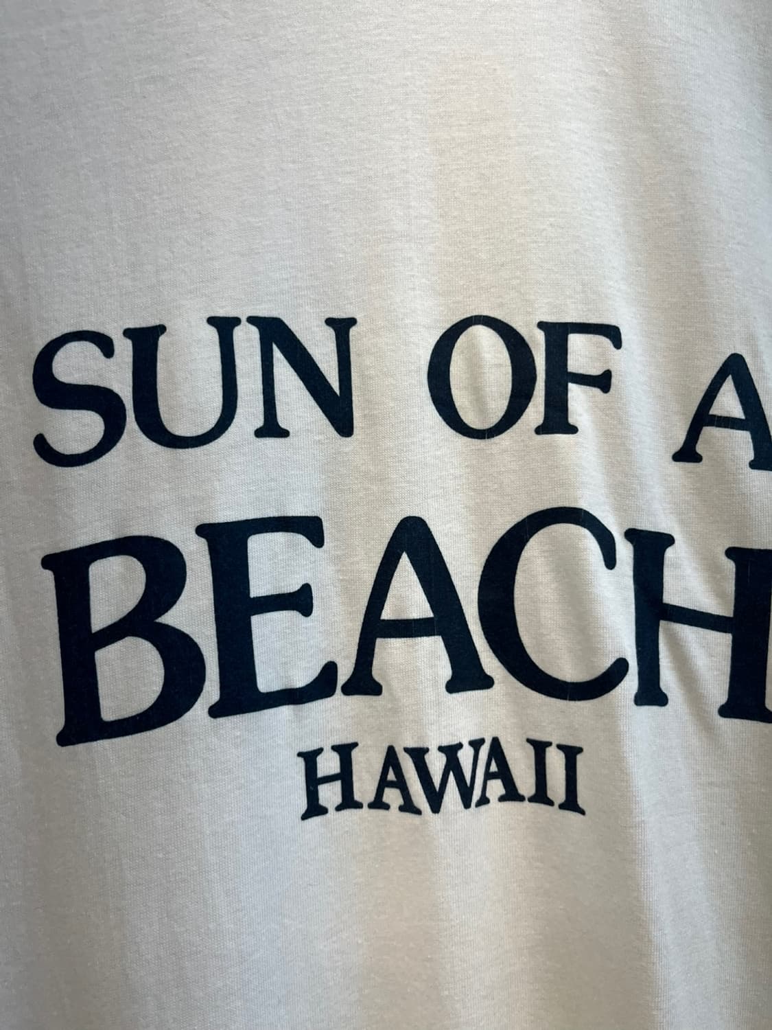 90s Hanes 'Sun OF A BEACH' 하와이 빈티지 티셔츠 상품이미지2