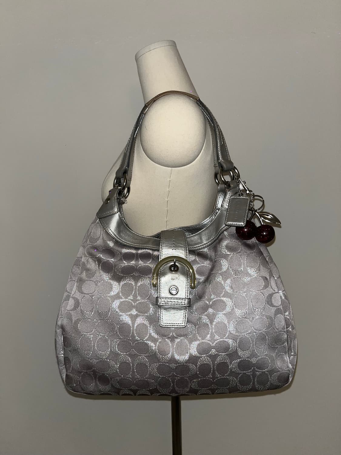 Coach Silver Hobo Bag 상품이미지2
