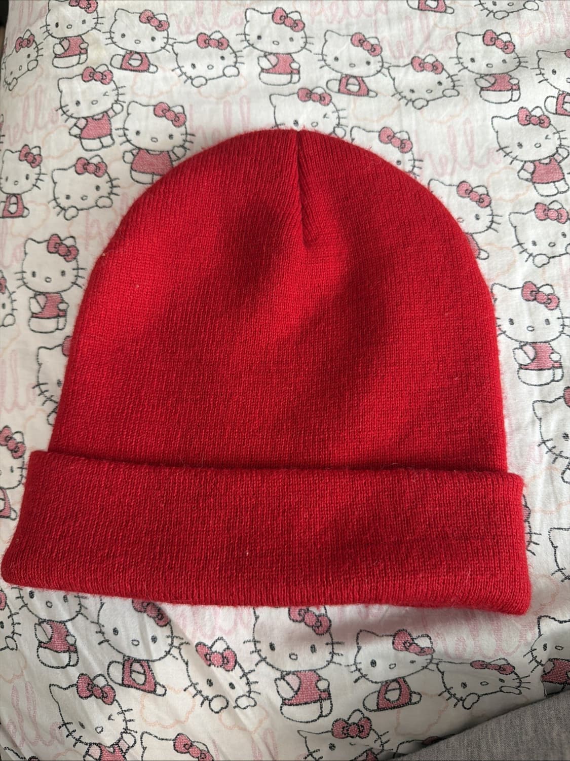 19FW 슈프림 1-800 비니 레드 상품이미지2