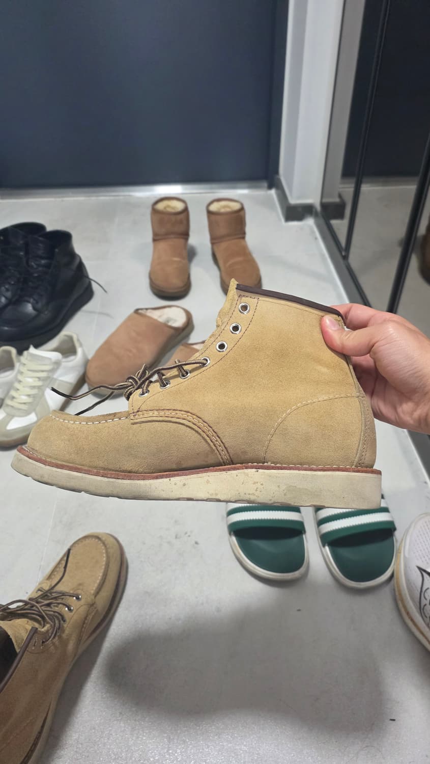 9D 사이즈 레드윙 8833 판매합니다
 상품이미지7